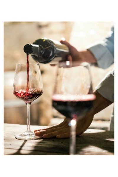 TINTO SELECCIÓN ESPECIAL LA viña del abuelo - 750ml
                        producto