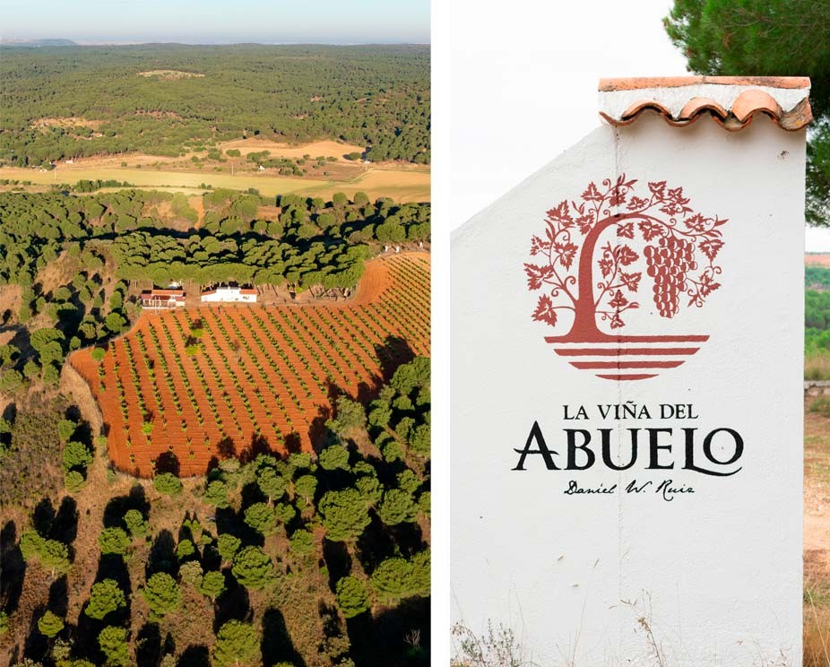 Abuelo´s Vineyard